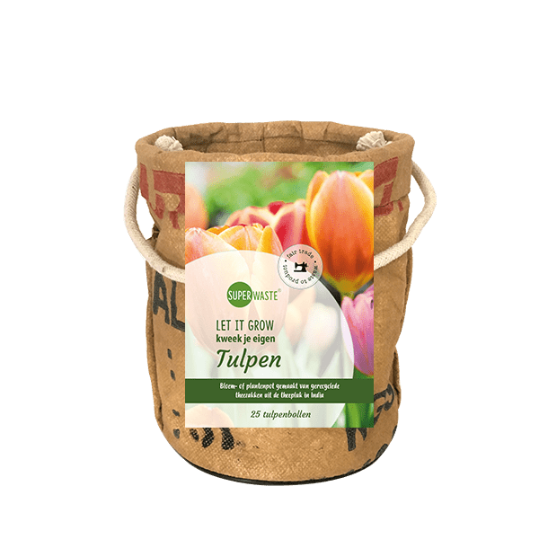 Kweekpot met 25 tulpenbollen - Afbeelding 2